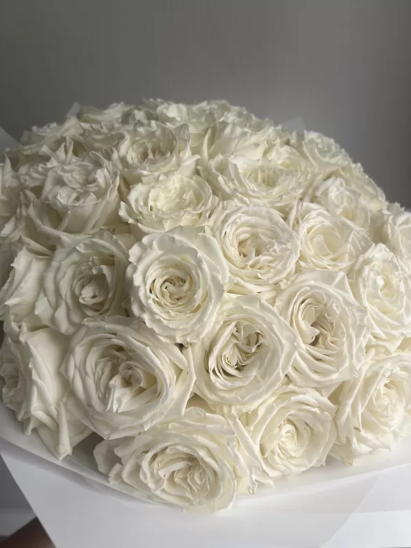 50 White Roses - Image 2