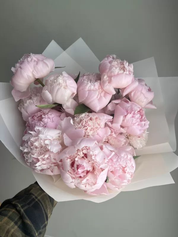 Pink Peonies