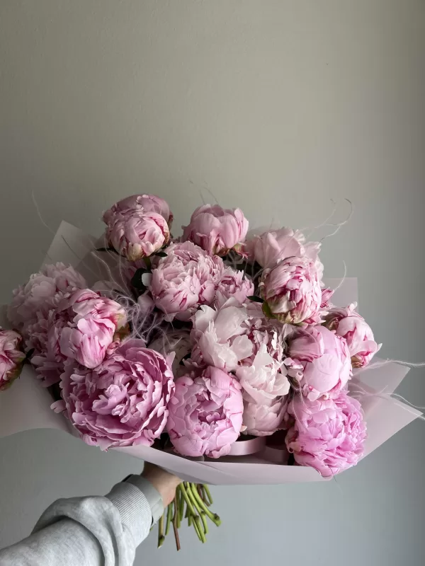 Peony Sarah Bernhardt