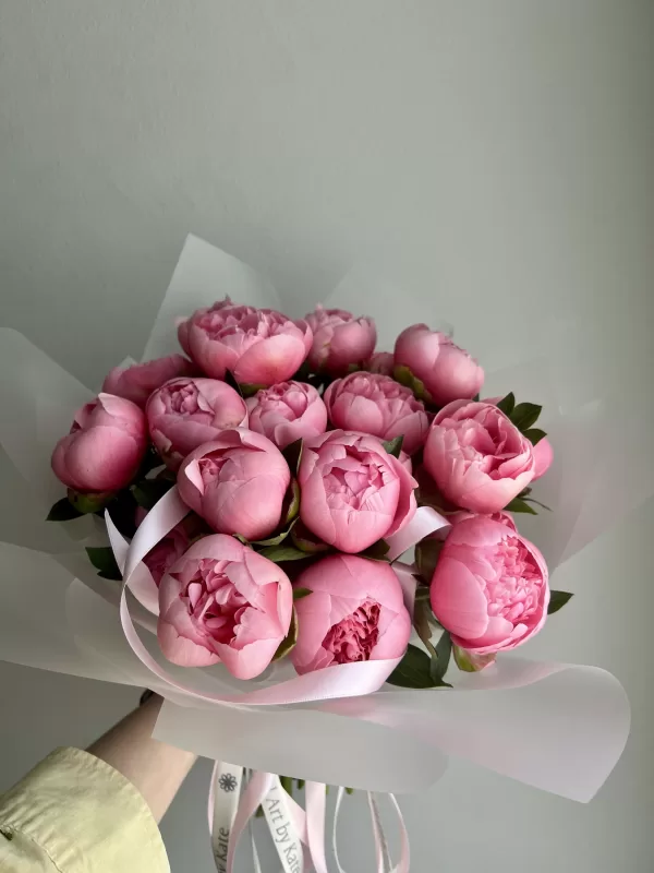 Peony “Etched Salmon”