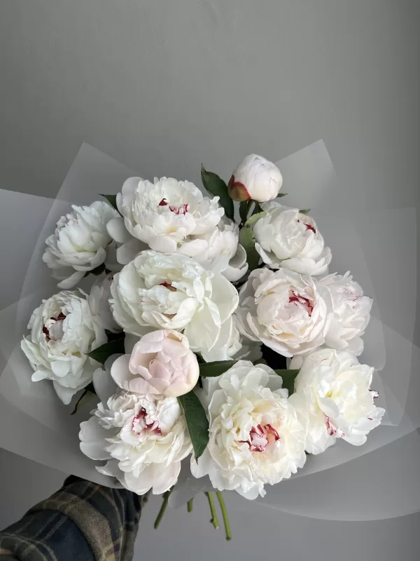 Peony White