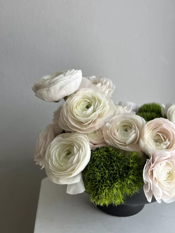 Elegant Ranunculus - Image 3