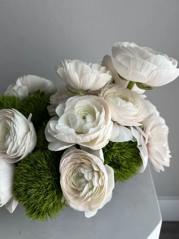 Elegant Ranunculus - Image 4