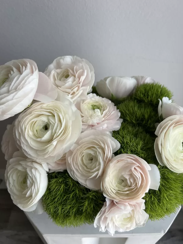 Elegant Ranunculus - Image 2