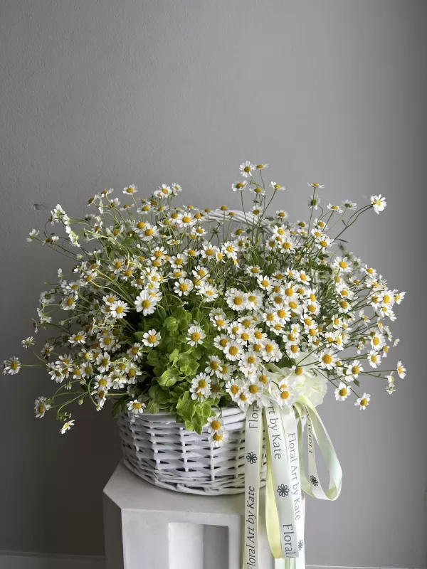 Basket of Chamomile Daisy
