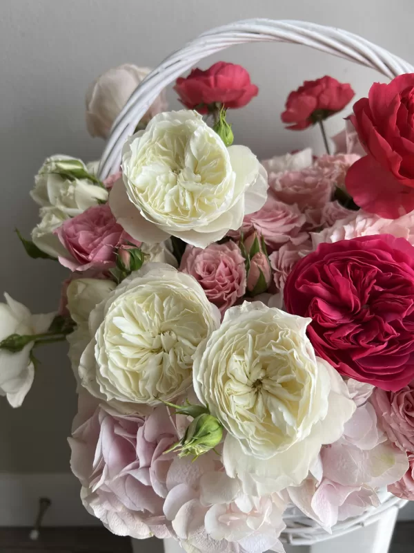 Rose Garden - Image 3