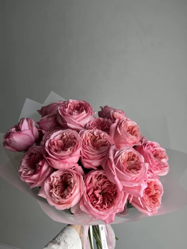 Expressing Gratitude - Image 4