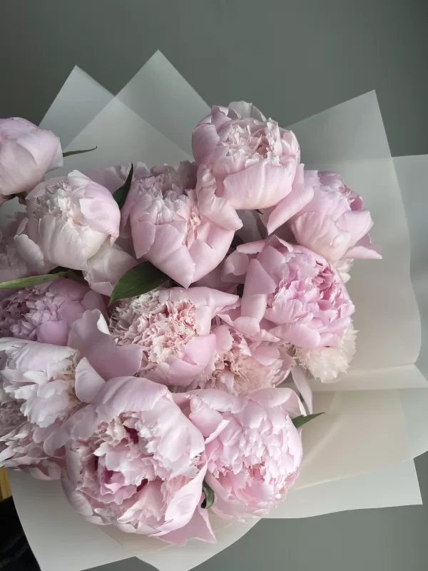 Peonies Pink - Image 2
