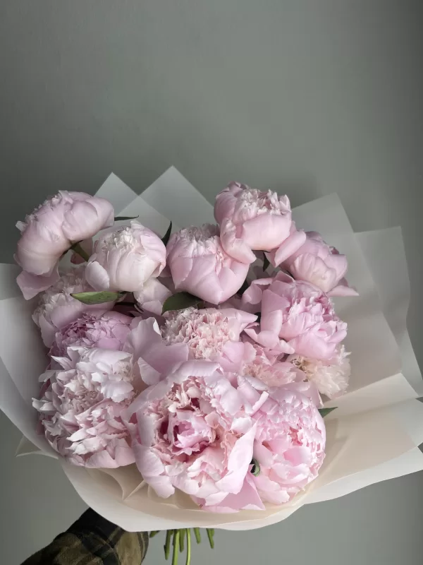 Peonies Pink - Image 3