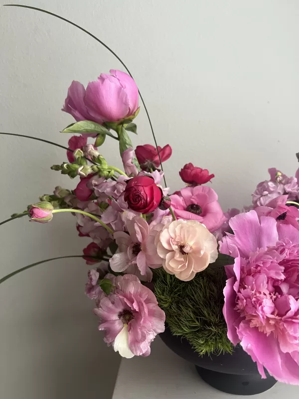 Bright May - Image 3