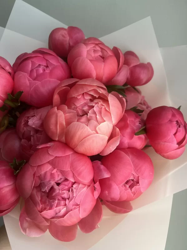 Peony Coral Charm - Image 2