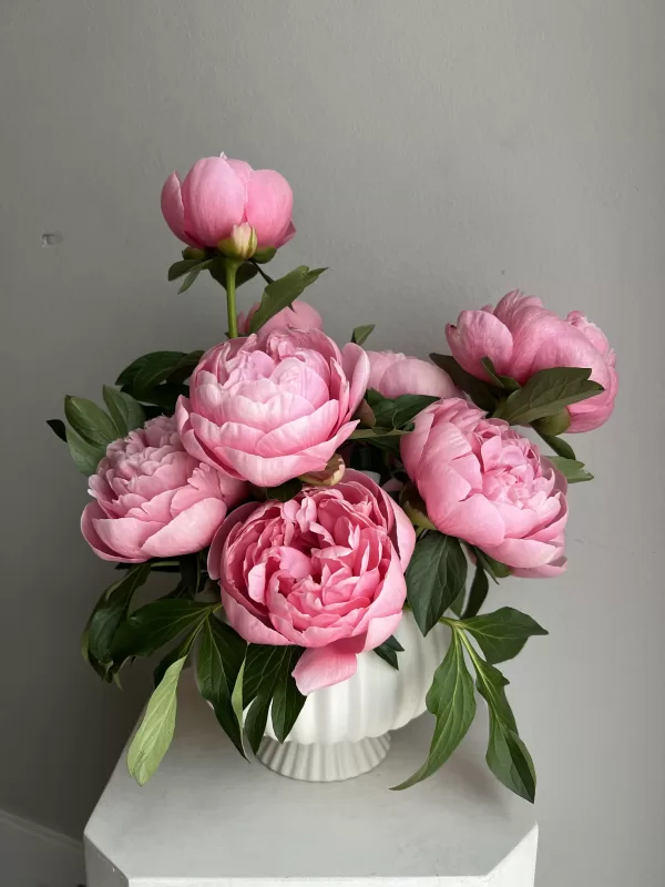 Peony Arrangement - Image 4