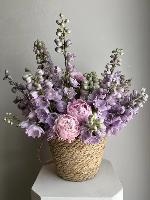 Summer Colors - Image 5