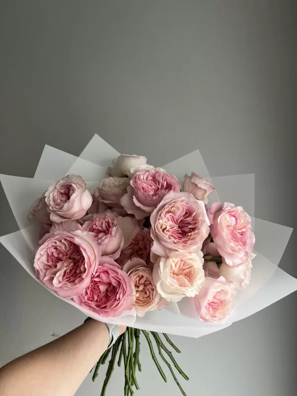 Pink Garden roses