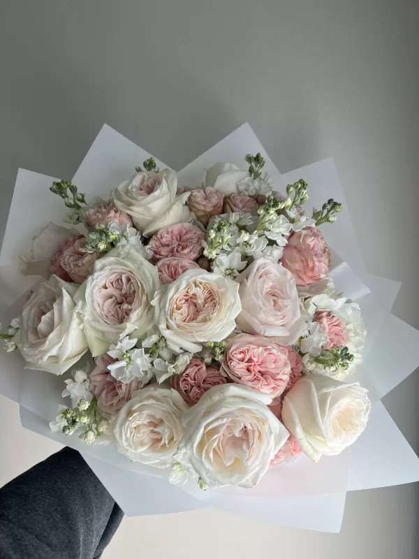 Your Tender Embraces