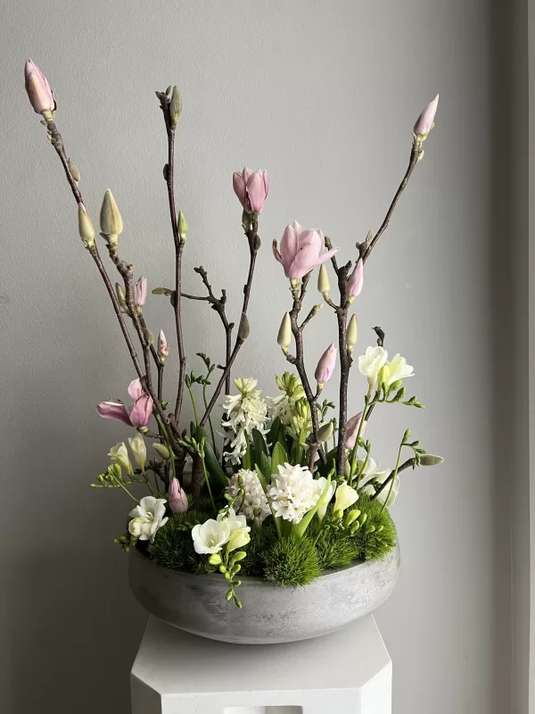 Spring Bloom In The House