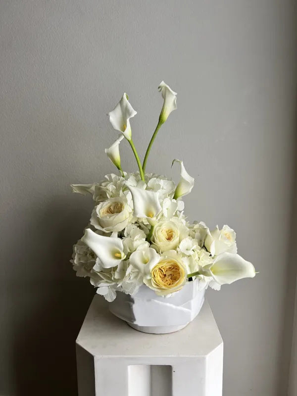 Elegance and Refinement