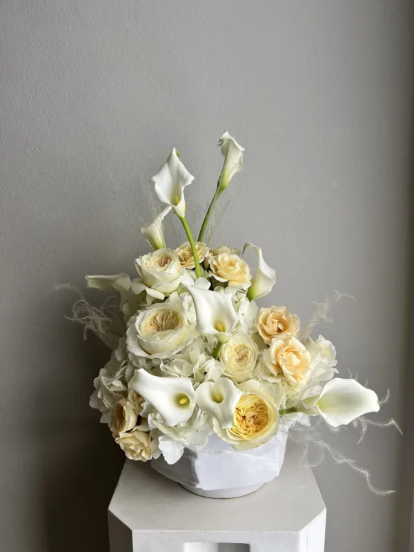 Elegance and Refinement