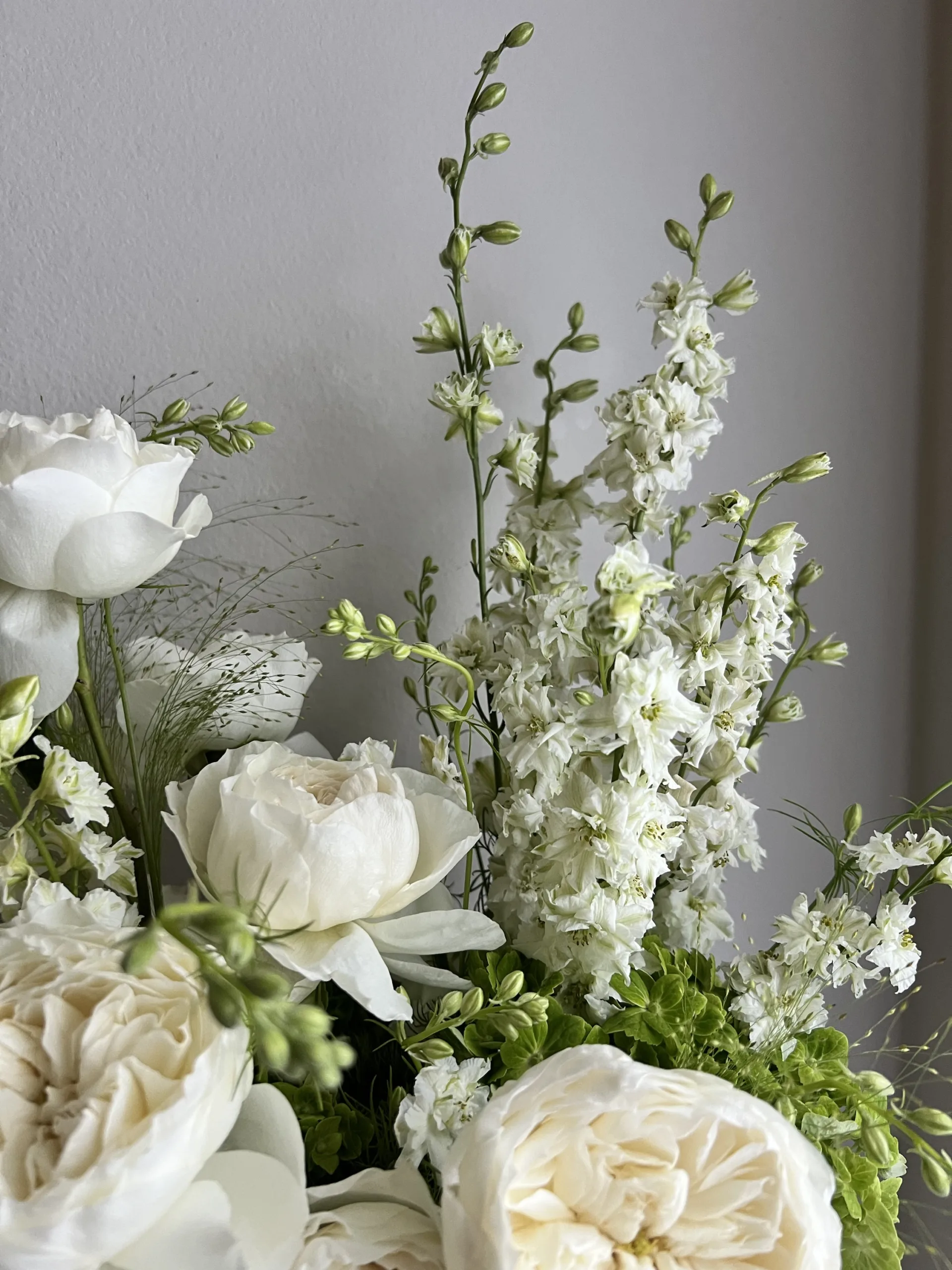 White Cloud - Image 2