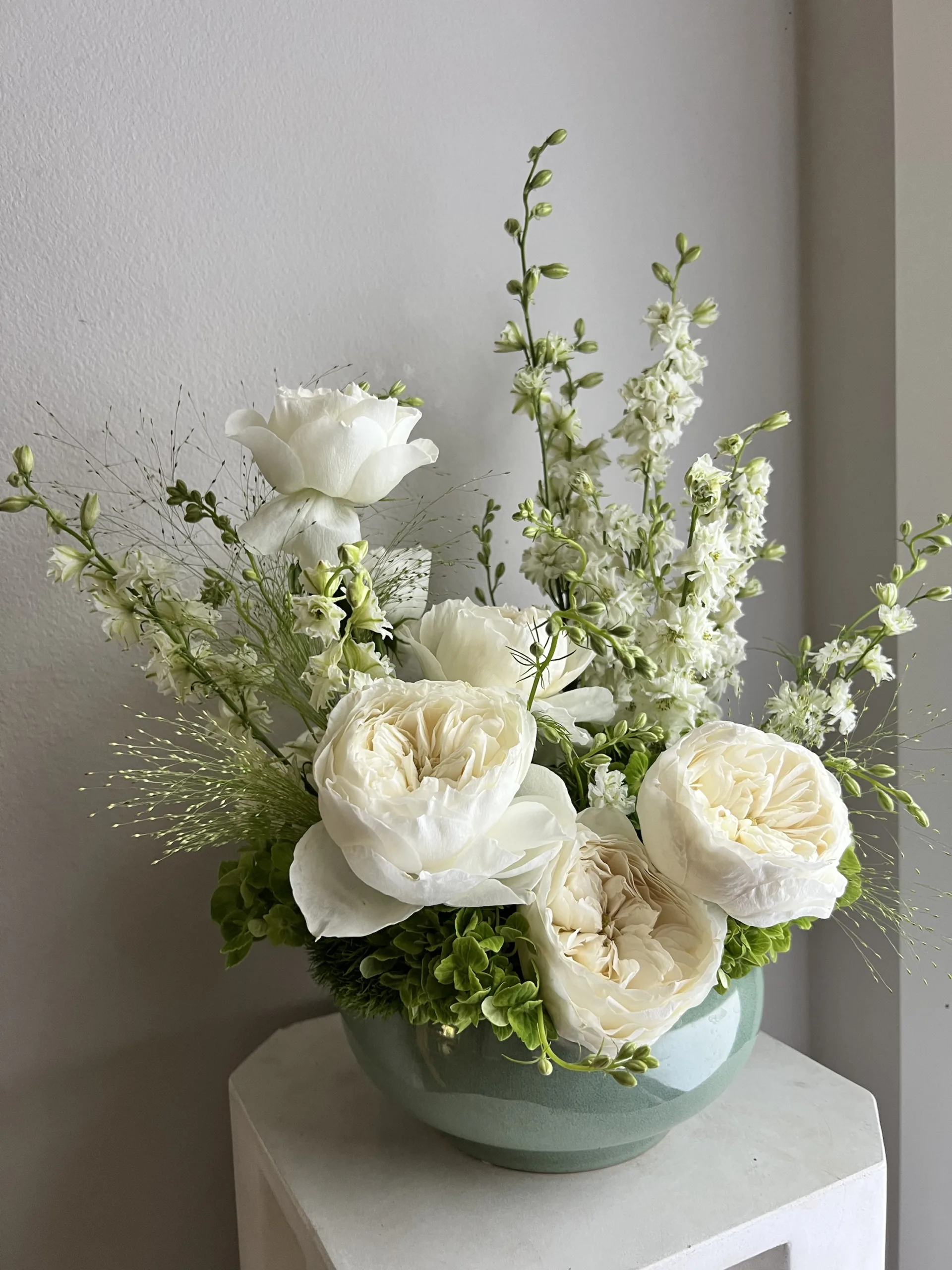 White Cloud - Image 4