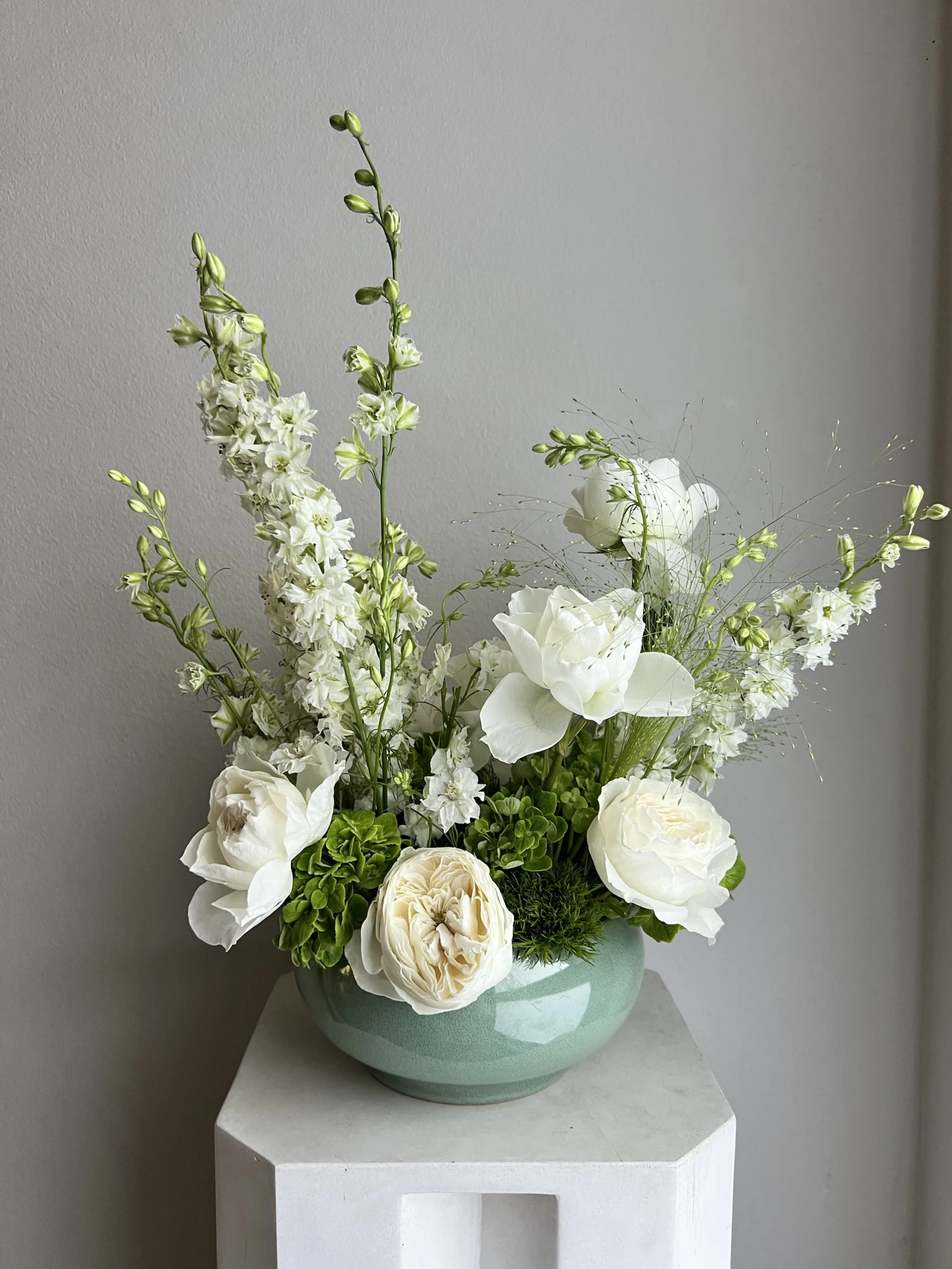 White Cloud - Image 5