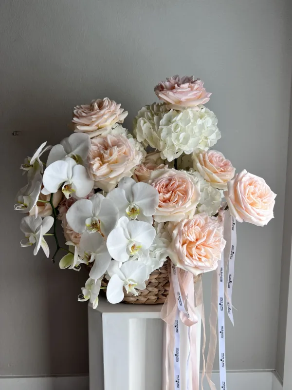 A Waterfall Of Orchids